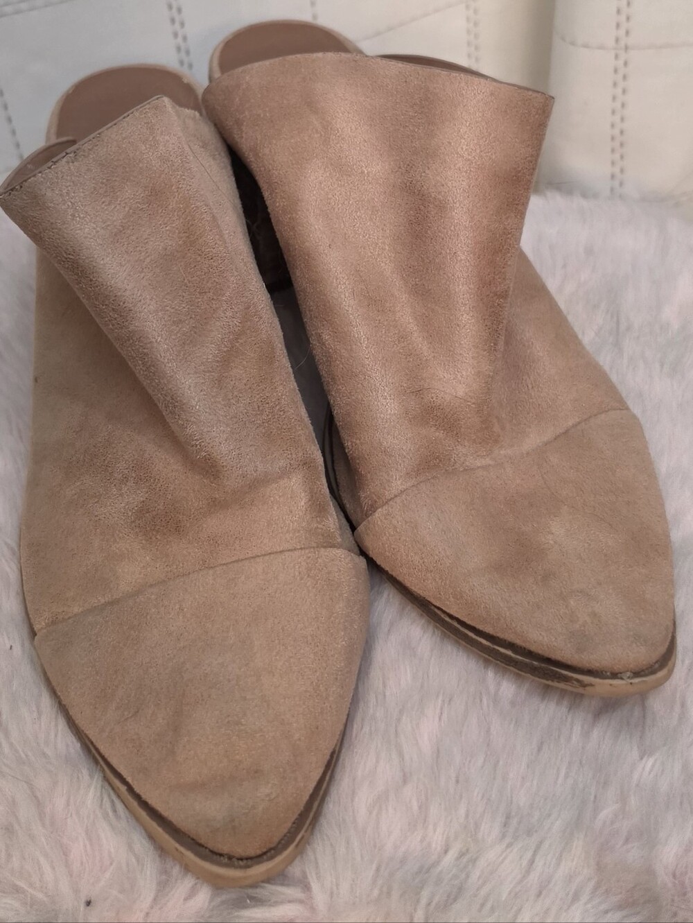 Toni Mule By Report